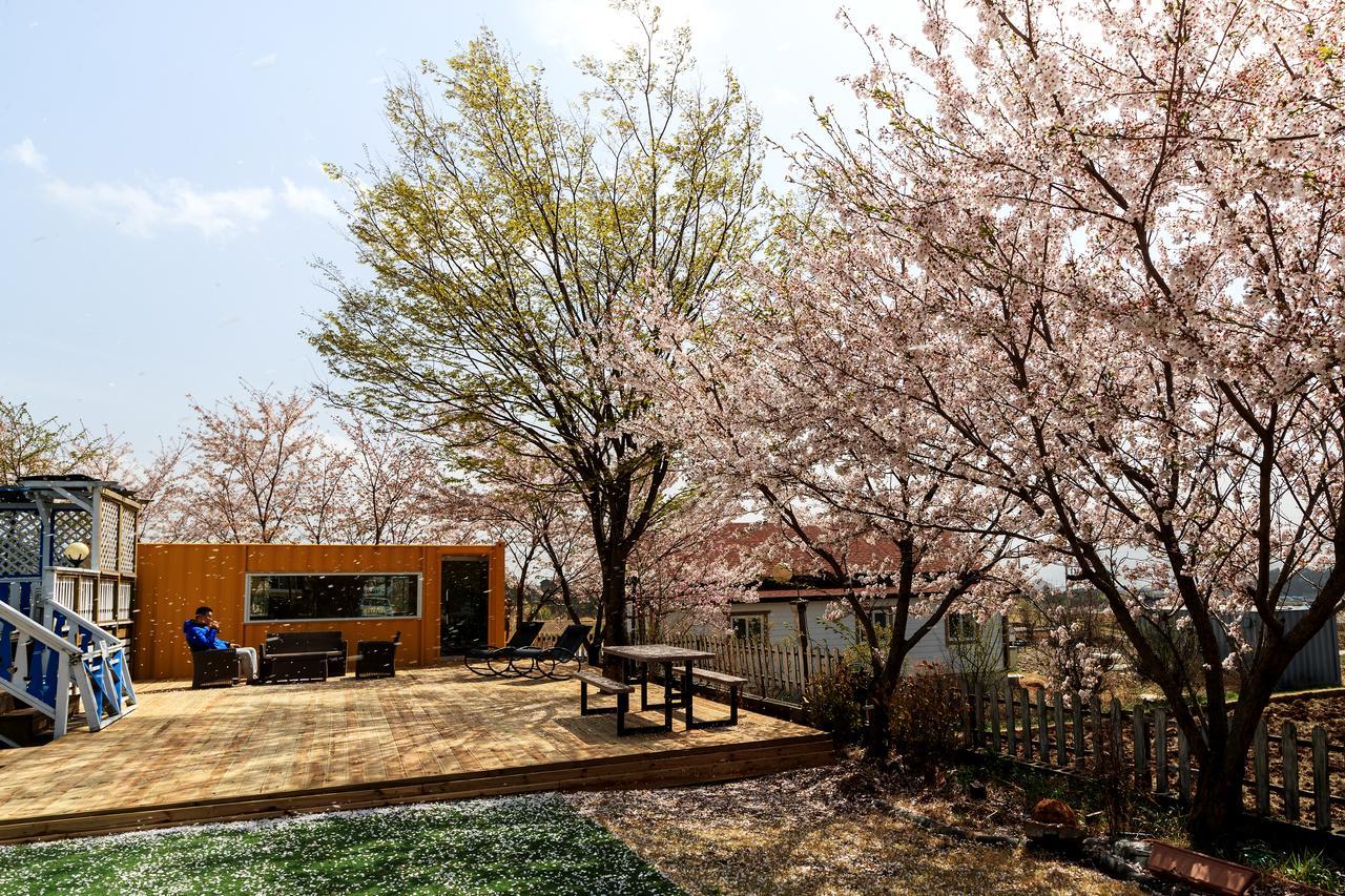 Polaris Tourist Pension Gyeongju Extérieur photo